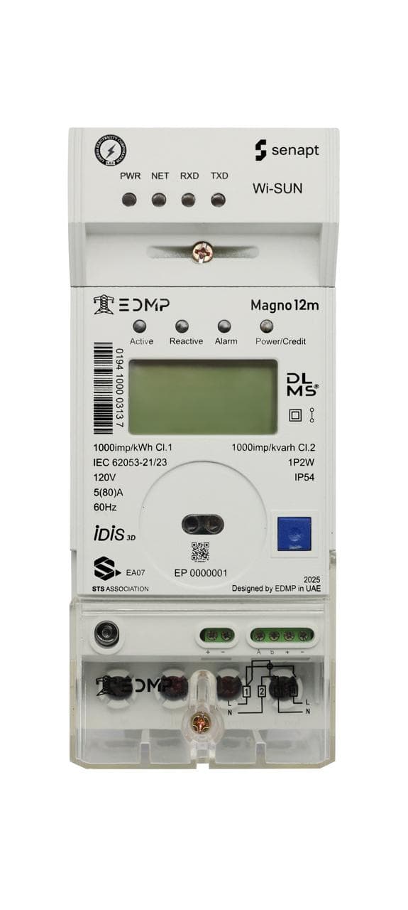 Senapt Magno 12m smart electricity meter